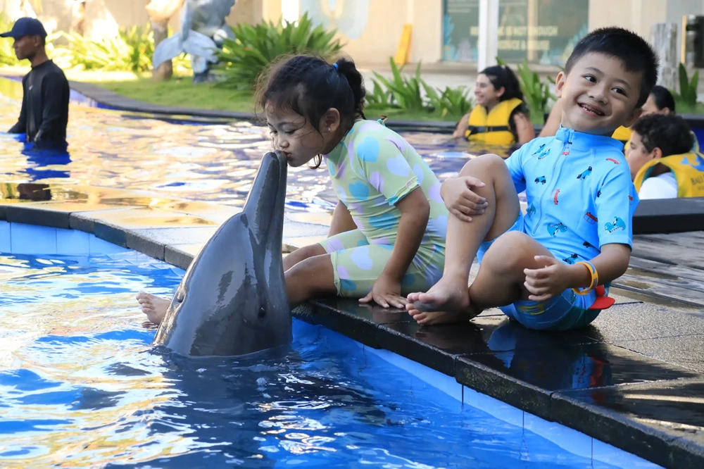 Bali Dolphins